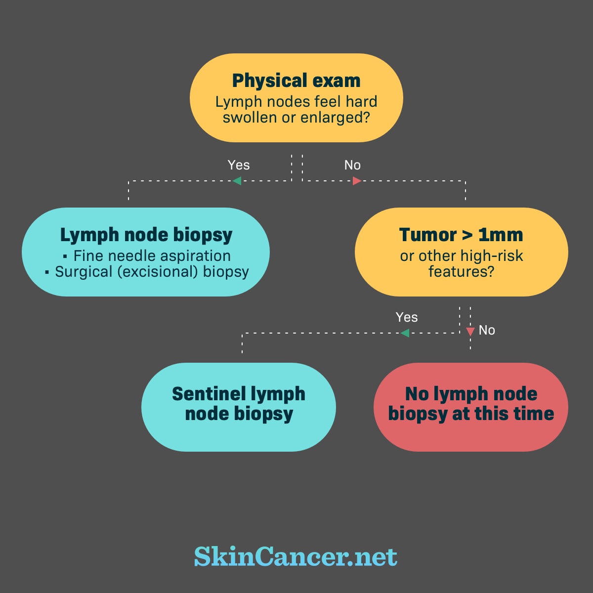 Flow chart reading: lymph nodes swollen/enlarged during physical exam. If yes, lymph node biopsy. If no, high risk tumor features. If yes, sentinal lymph node biopsy. If no, no lymph node biopsy.