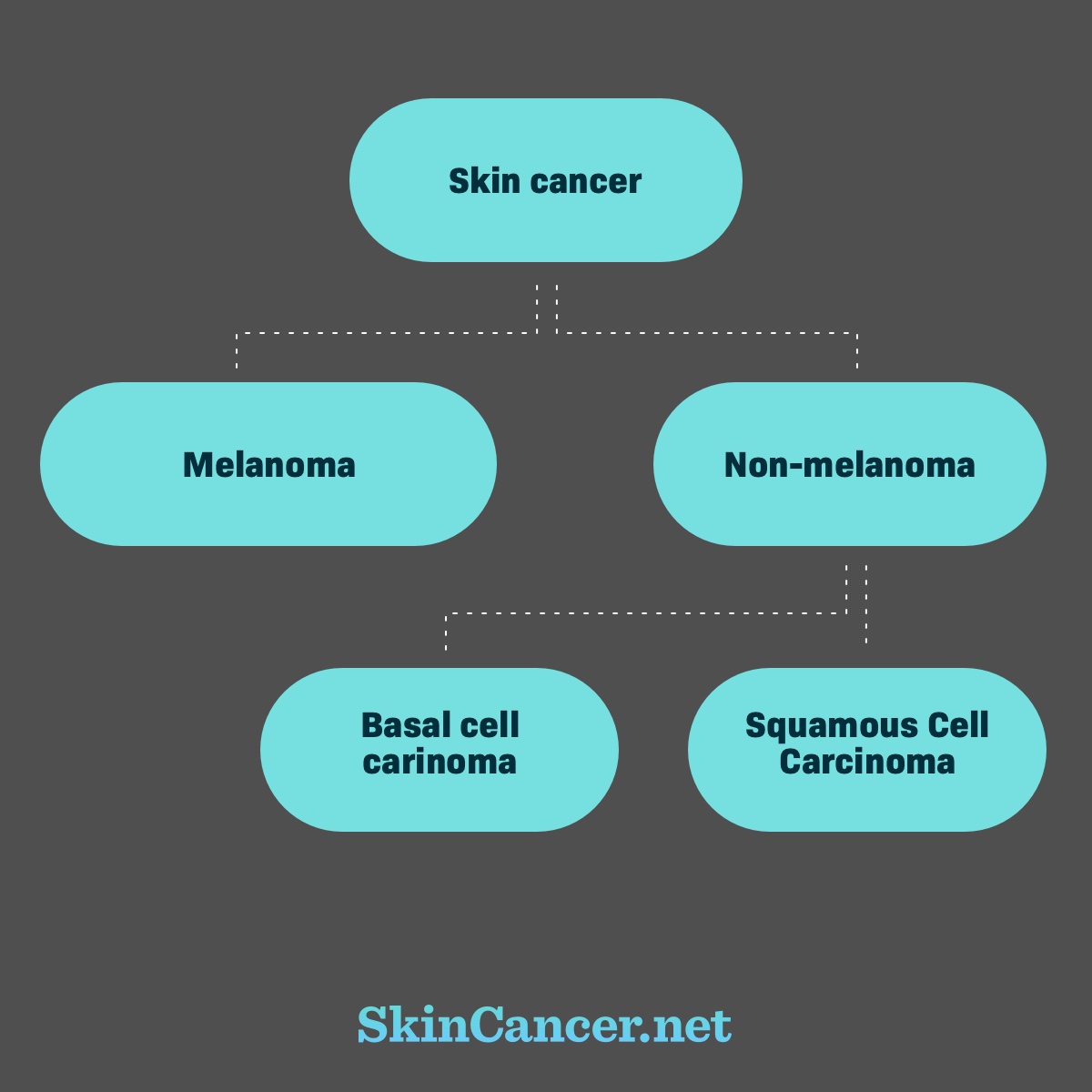 Chart showing melanoma and non-melanoma as branches of skin cancer, with squamous cell and basal cell under non-melanoma