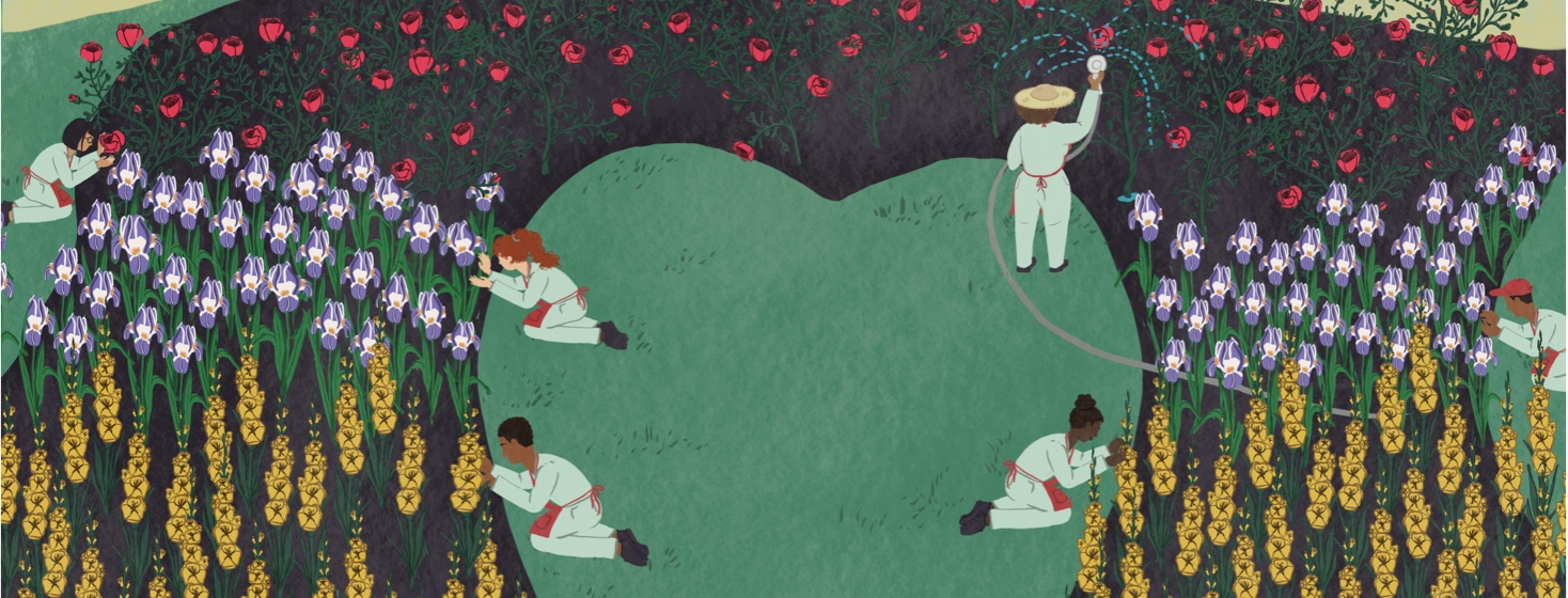 People tending to flowers in a large garden.