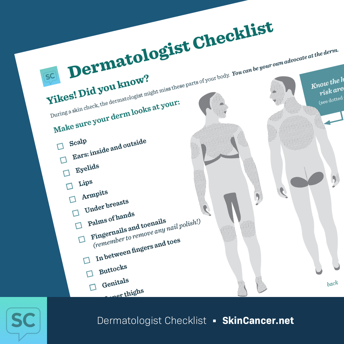 A preview of the Dermatologist Checklist PDF